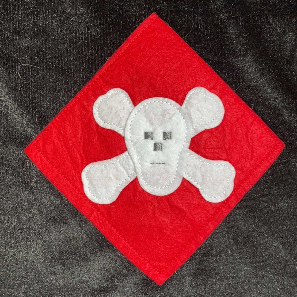 Pirate Cape and Skull Cap- EUC - Picture 5 of 9